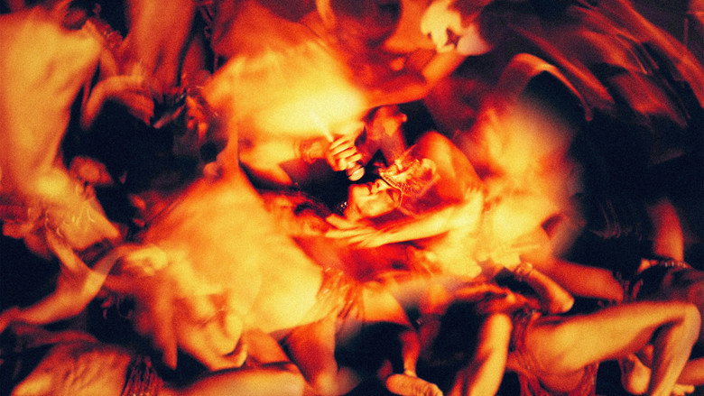 Latin Blood – The Ballad of Ney Matogrosso still 3