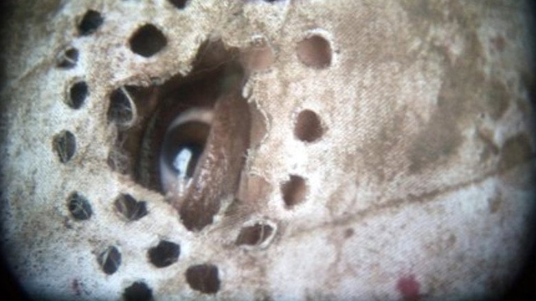 Hell's Ground still 8