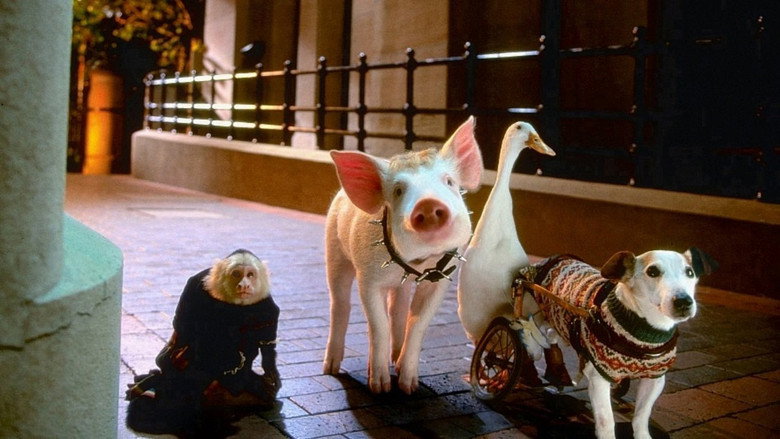 Babe: Pig in the City still 8