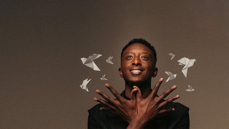 Ahmed Sylla - Origami still 3
