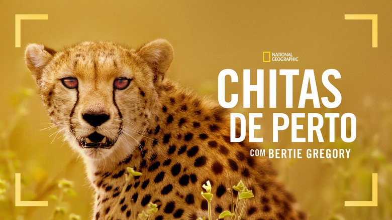 Cheetahs Up Close with Bertie Gregory still 6