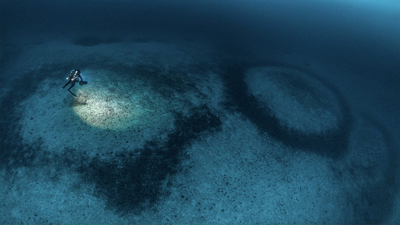The Mystery of the Med Rings still 4