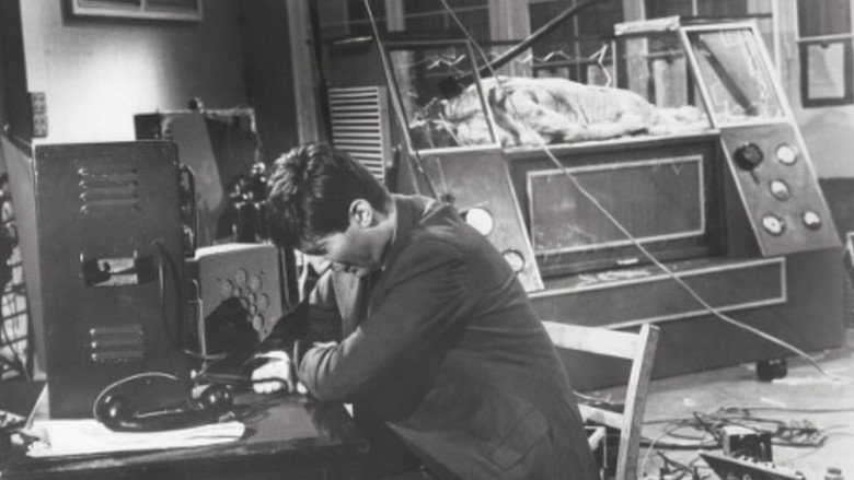 Curse of the Fly still 7
