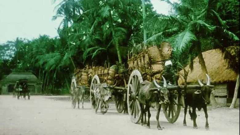 Villenour (French India: Territory of Pondicherry) still 1