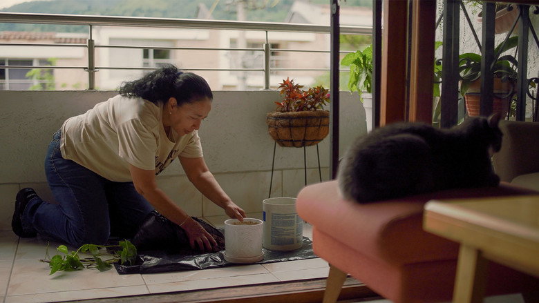 Cuidado de una Orquidea still 1