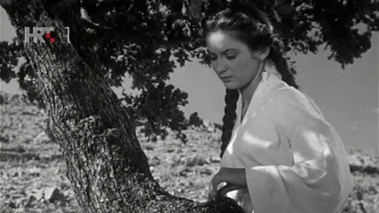 The Girl and the Oak still 2