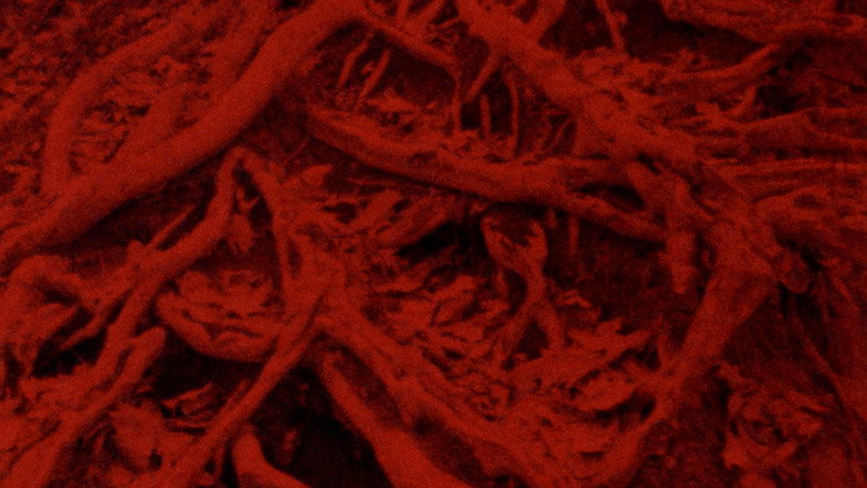 Language of the Entrails still 1