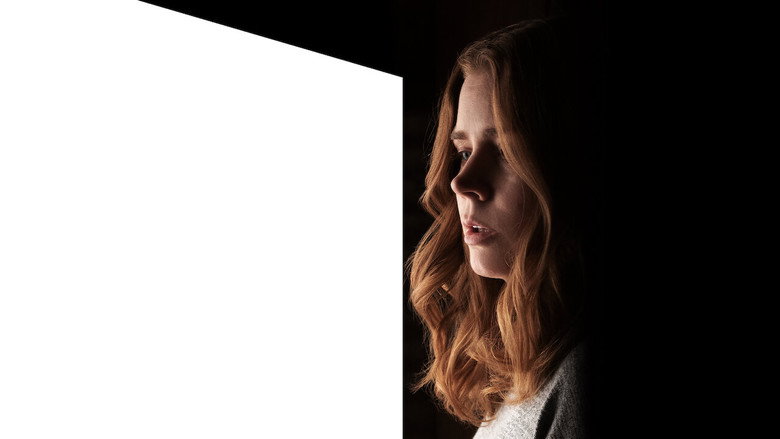 The Woman in the Window still 5