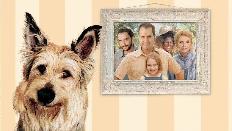 Because of Winn-Dixie still 2