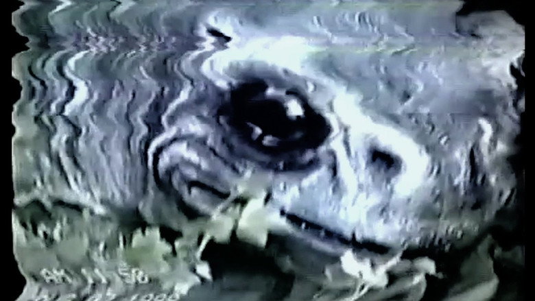 Frogman still 3