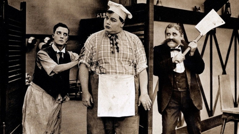 The Cook still 2