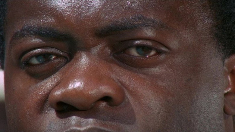 Bone still 4