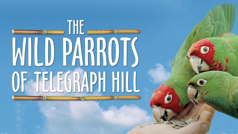 The Wild Parrots of Telegraph Hill still 7