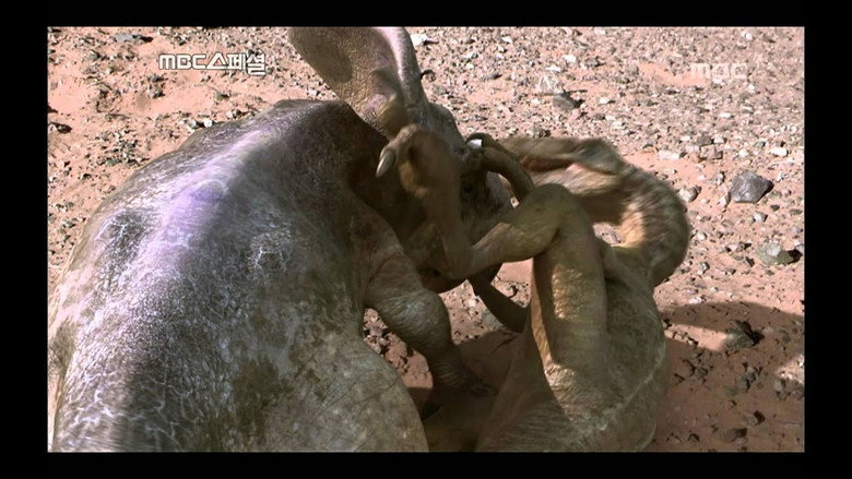 The land of dinosaurs still 1