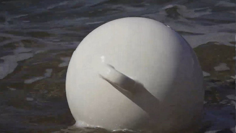 Mémoire de mer still 3