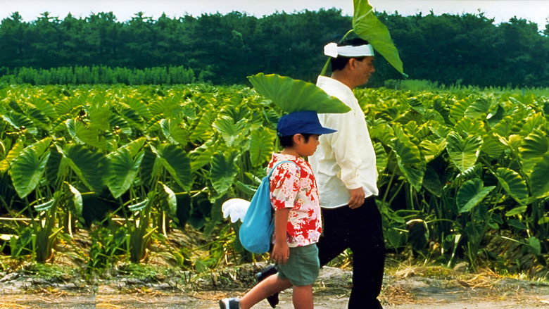 Kikujiro still 1