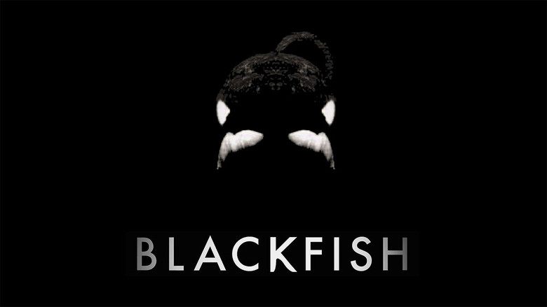 Blackfish still 5