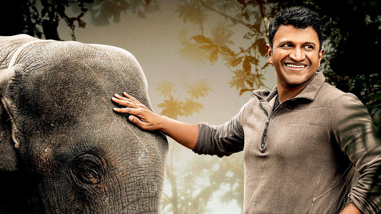 Gandhada Gudi still 5