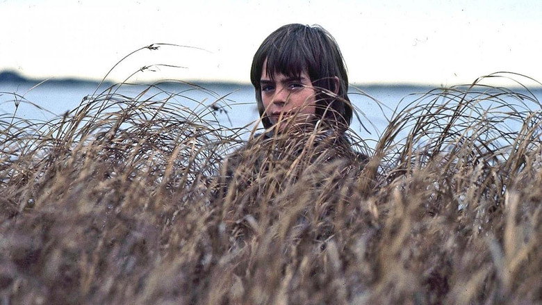 Storm Boy still 2