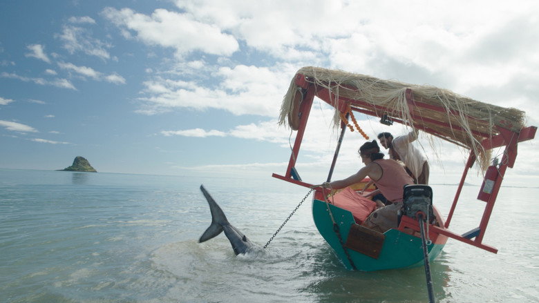 The Bay still 8