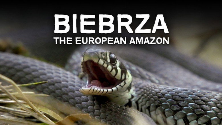 Biebrza: The European Amazon still 2