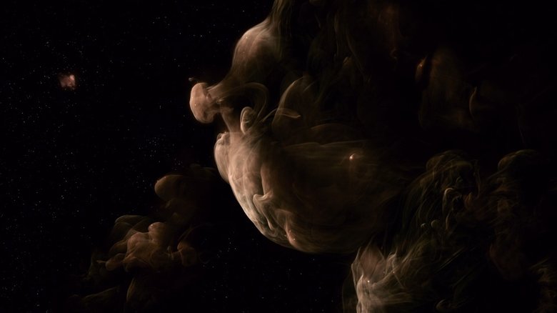 The Tree of Life still 3