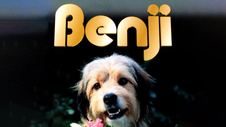 Benji still 5