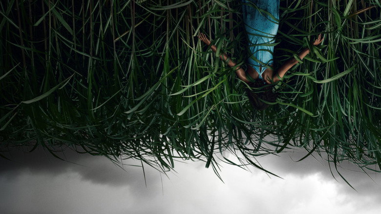 In the Tall Grass still 4
