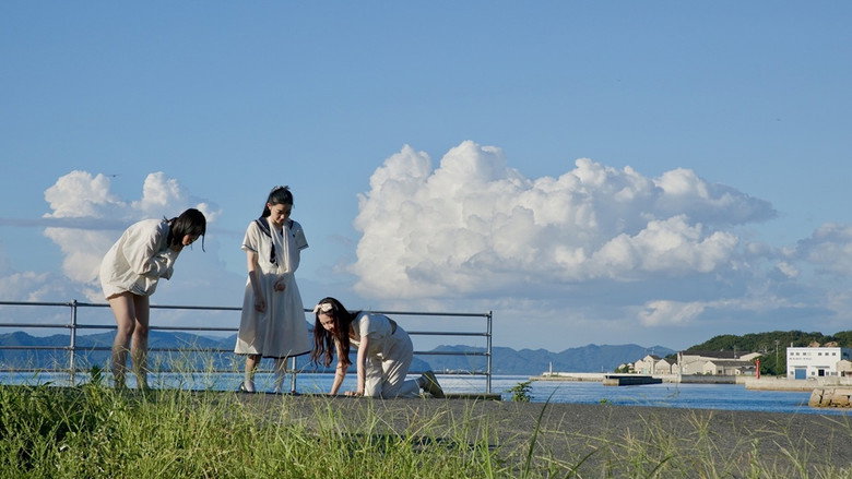 Shimaneko still 1