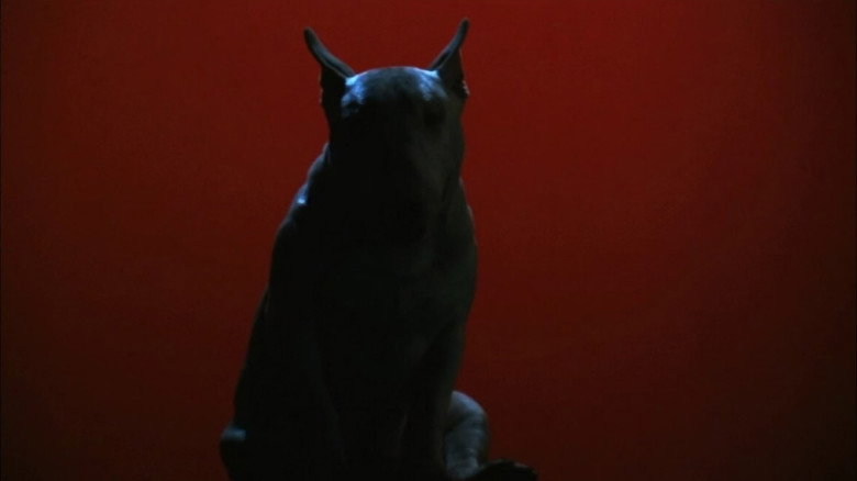 Baxter still 5