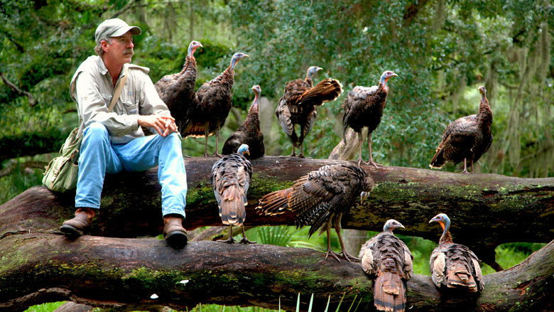 My Life as a Turkey still 2