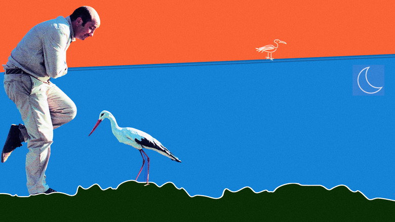 Stork Day still 3