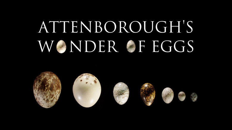 Attenborough's Wonder of Eggs still 1