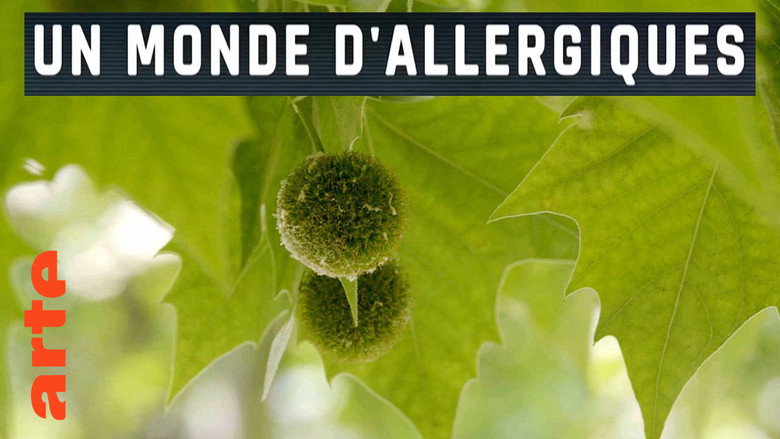 Un monde d'allergiques still 1