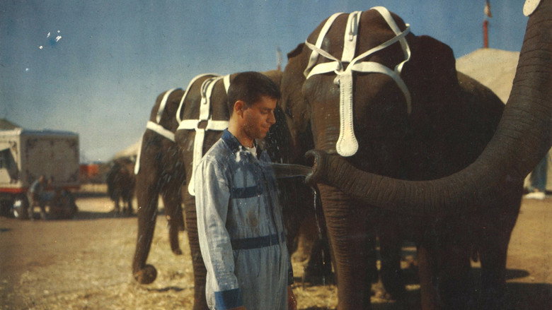 3 Ring Circus still 8
