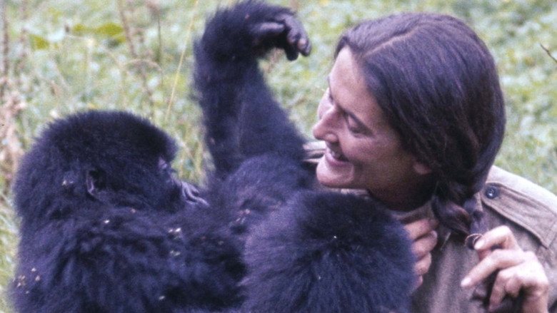 Dian Fossey: Ihr Leben für die Gorillas still 2