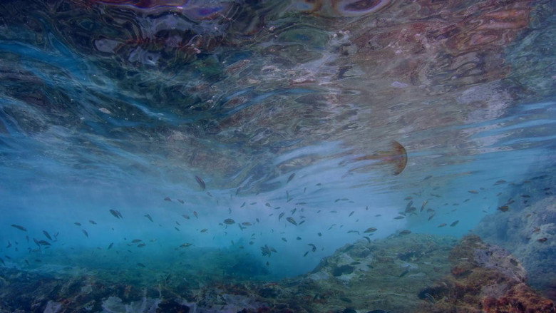 Life in the Blue still 1