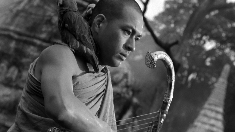 The Burmese Harp still 1