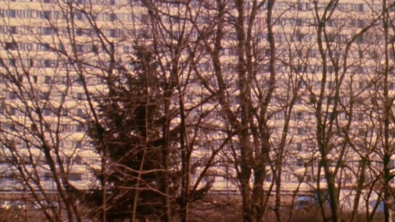 With the Blood of Others still 7