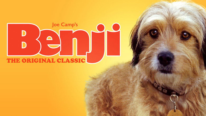 Benji still 2