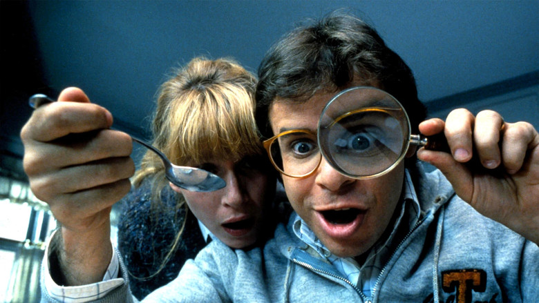 Honey, I Shrunk the Kids still 4