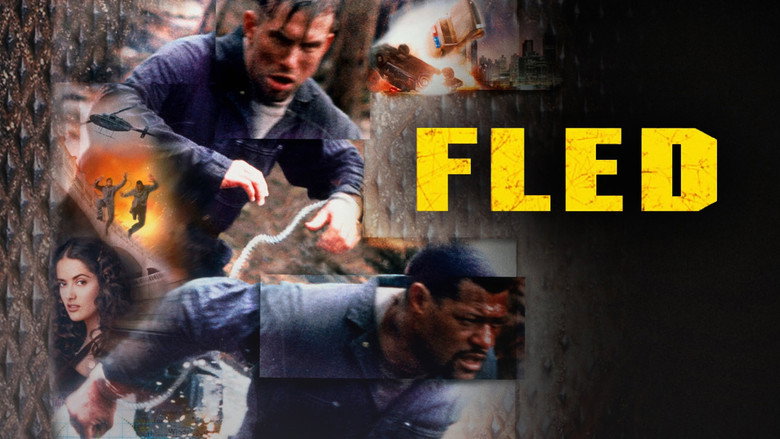 Fled still 5