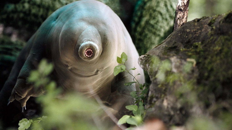 Tiny and Tough - The Incredible Resilience of Tardigrades still 4