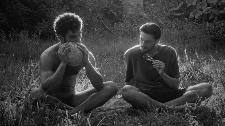 Perro Perro still 4