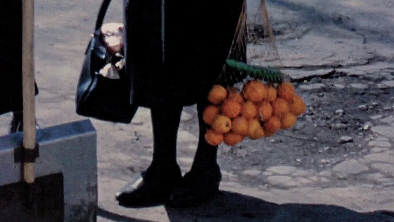 Terra Femme still 1