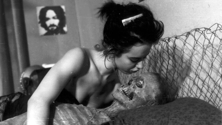 Nekromantik still 4