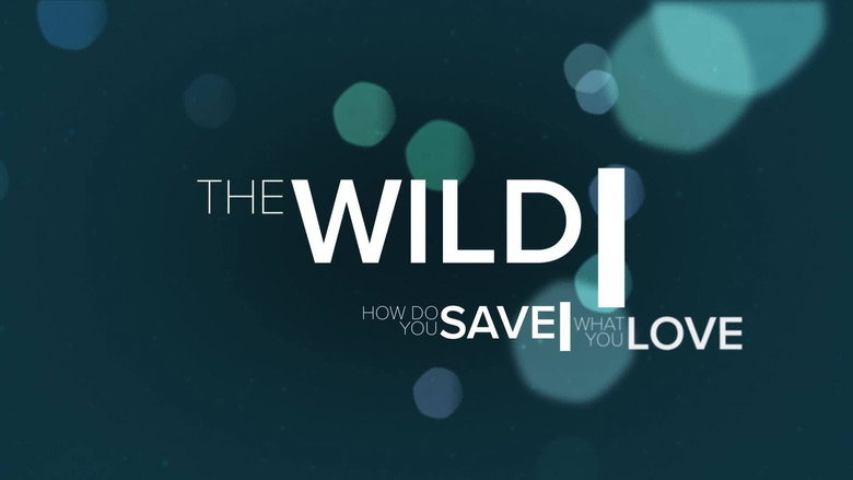 The Wild still 1