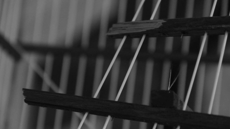 The Shadow of the Cage still 2