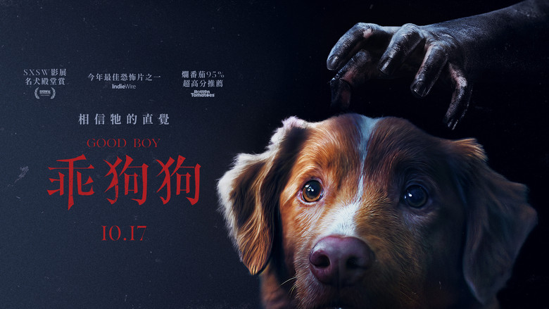 Good Boy still 3