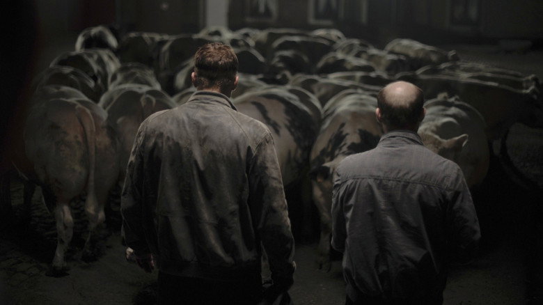 Bullhead still 1